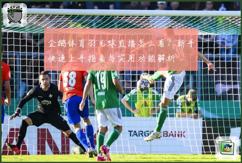 企鹅体育羽毛球直播怎么看？新手快速上手指南与实用功能解析