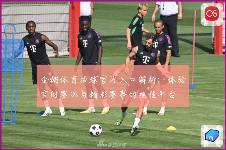 企鹅体育排球官方入口解析：体验实时赛况与精彩赛事的绝佳平台