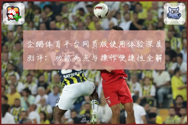 企鹅体育平台网页版使用体验深度测评：功能亮点与操作便捷性全解析