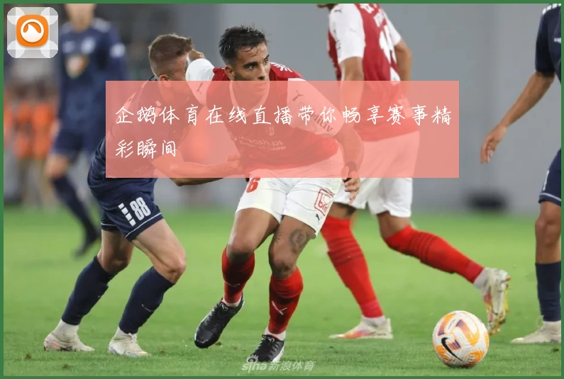 企鹅体育在线直播带你畅享赛事精彩瞬间