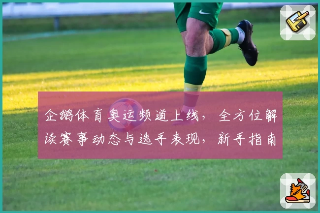 企鹅体育奥运频道上线，全方位解读赛事动态与选手表现，新手指南带你快速入门