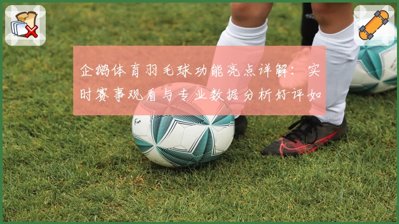 企鹅体育羽毛球功能亮点详解：实时赛事观看与专业数据分析好评如潮