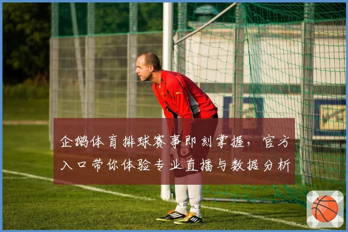 企鹅体育排球赛事即刻掌握，官方入口带你体验专业直播与数据分析