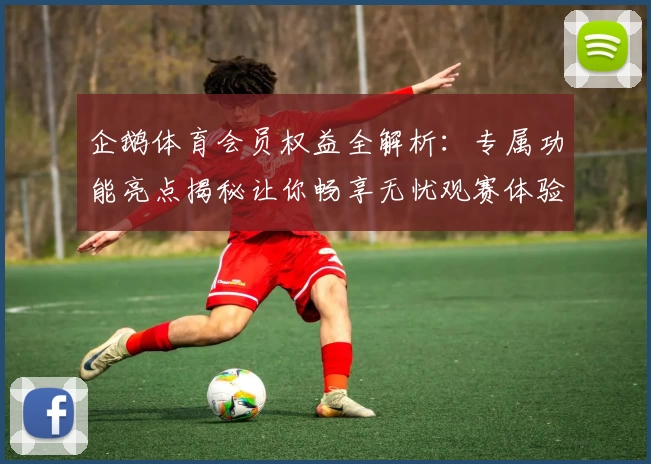 企鹅体育会员权益全解析:专属功能亮点揭秘让你畅享无忧观赛体验